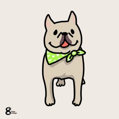 inu(すぅ）のプロフィール