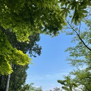 ケイのおすすめのサムネイル