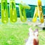 名もないなまけもの。のサムネイル