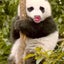 Rioさんのサムネイル
