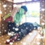 山口県初の心身を整える施術家ヒプノセラピストなごみまなのサムネイル