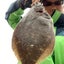 垂水のてるさんのサムネイル
