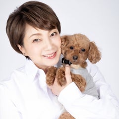 えまおゆうのプロフィール