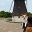 むんたのサムネイル
