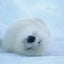 おちゅのサムネイル