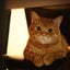 画像 旅猫〜プライベートでごめんなさい〜のユーザープロフィール画像