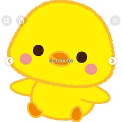 ひよこのプロフィール