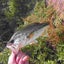 バス釣り 情報ブログのサムネイル