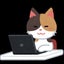 kimcookのサムネイル