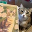 nekonekokoharuのサムネイル