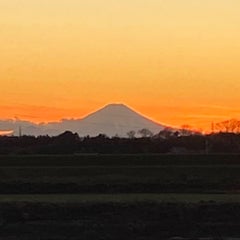 田中のプロフィール