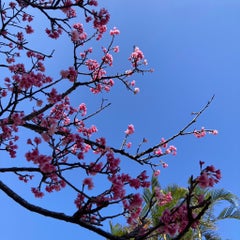 kumiのプロフィール