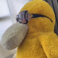 dachi-koのプロフィール