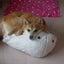 はつ子のサムネイル
