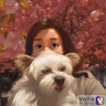 mekakoのプロフィール