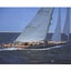 画像 Mega Yacht & Luxury Lifeのユーザープロフィール画像
