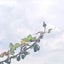 みきのサムネイル