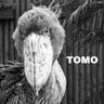 TOMOのプロフィール