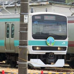 みどり快速のプロフィール