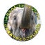画像 宇都宮動物園 飼育員のブログのユーザープロフィール画像