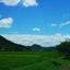 ぶるーのサムネイル