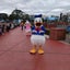 めいのサムネイル