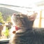anchovy0916のサムネイル