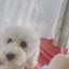 sapporoturitarou8のサムネイル
