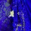 花丸のサムネイル