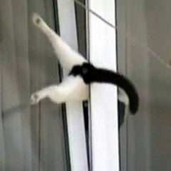 hamakkoのプロフィール