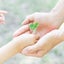 ☆☆MIDORI☆☆のサムネイル