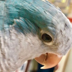 さらりんのプロフィール