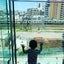 PuchiUmeのサムネイル