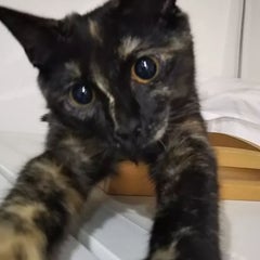 yukko-tyanのプロフィール