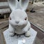 口腔底癌ステージ4癌サバイバーの家族Loveのサムネイル