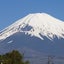 かみちゃんのサムネイル