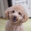 ゆきねのサムネイル