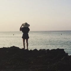 Ellia エリアのプロフィール