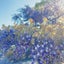 花梨（かりん）のサムネイル