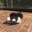MAYのサムネイル