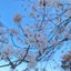 ぴろのサムネイル