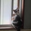 nana242525のサムネイル