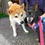 空眠のサムネイル