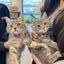 abbymamのサムネイル