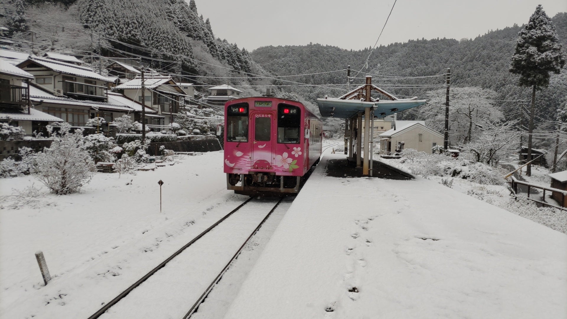 ライフスタイルの変化