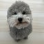 にゃんちゅーのパパのサムネイル