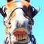 画像 馬太郎　最新競馬情報のユーザープロフィール画像