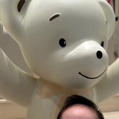pのプロフィール