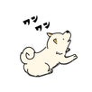 アメンバー画像