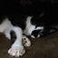 purupuruchuのサムネイル